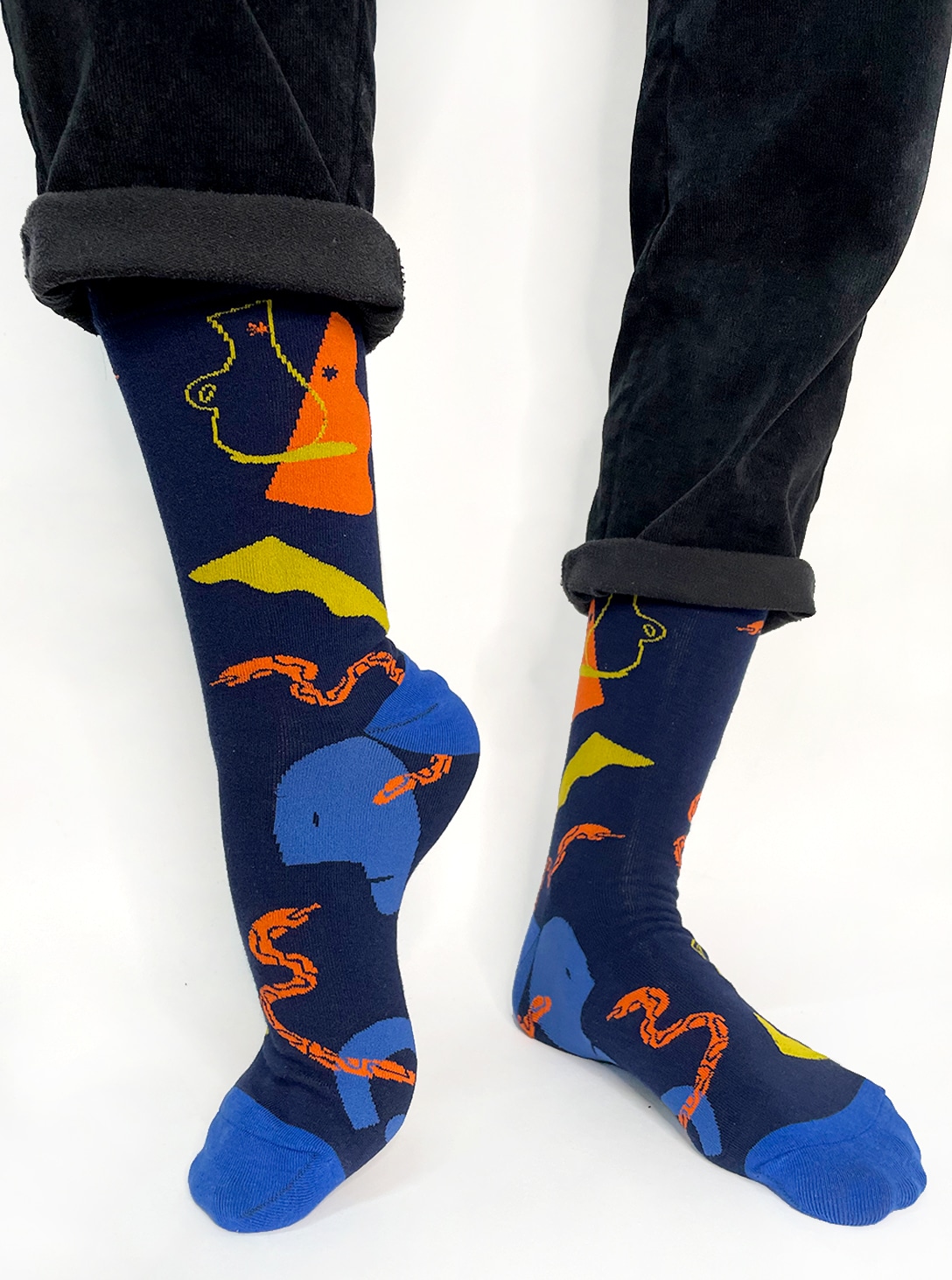 24(2) Snake & Vase Socks - Image 1