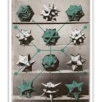 Diatoms POSTER