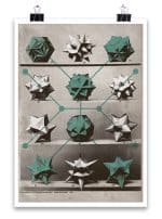 Diatoms POSTER