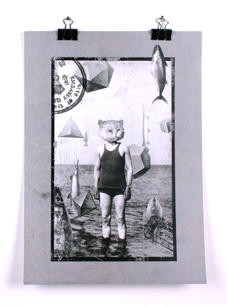 sea cat by gil Sea Cat Poster - Image 1