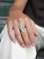 The Fifth Eye Ring - Image 4
